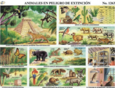 cromo-Animales-en-Peligro-de-Extincion