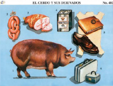 cromo-El-Cerdo-y-sus-Derivados