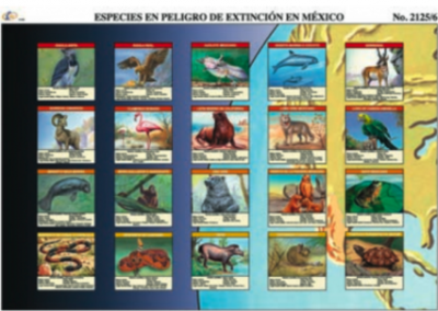 cromo-Especies-en-Peligro-de-Extincion-en-Mexico