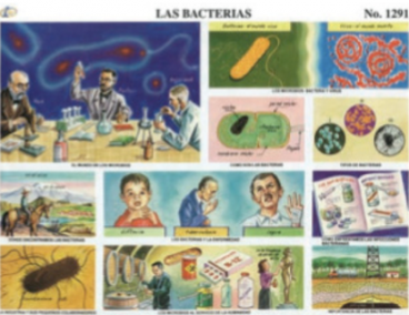 cromo-Las-Bacterias