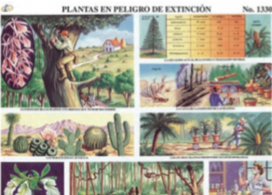 cromo-Plantas-en-Peligro-de-Extinción