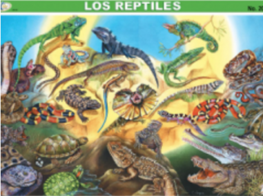 cromo-Reptiles